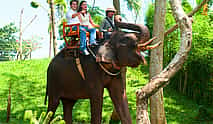 Photo 3 An Unforgettable Elephant Ride at Bali Zoo