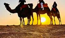 Photo 3 Luxury Dinner Under the Starts and Camel ride with Sunset in Agafay Desert
