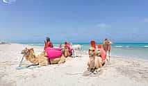 Photo 3 Explore Djerba at the Gentle Pace of a Camel Ride