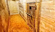 Photo 4 Venice Lords of the Night Prison Palace Escorted Visit