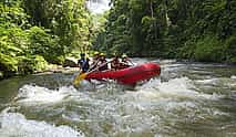 Photo 3 Ubud Adventure and Nature