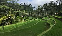 Photo 4 Bali Highlights Tour