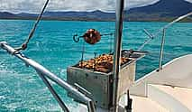 Photo 4 Full Day Catamaran Trip: Dolphin Encounter in the South West + Visit Benitiers Island