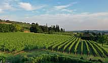 Фото 4 Экскурсия на электровелосипеде из Вероны с дегустацией вина Амароне