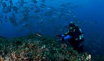 Photo 4 Become a Certified Open Water Diver from Madeira- Your Underwater Adventure Starts Here!