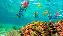 Photo 4 Puerto Morelos Reef Snorkeling Adventure with beachside lunch