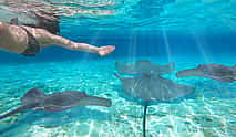Photo 3 Swim with Manta Rays in Nusa Penida and Nusa Lembongan