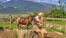 Photo 4 Private day trip from Zurich to Heidiland and Vaduz