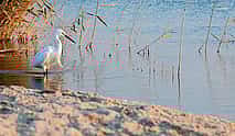 Photo 3 The Hidden Gems of Fayoum Oasis - Private Tour