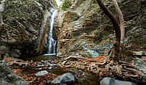 Foto 3 Artemis Trail und Waterfalls Trail Private Wandertour