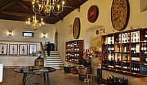Fotoğraf 4 Discover the Wines of Setúbal: A Private Wine Adventure from Lisbon
