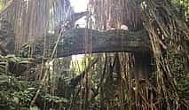 Photo 4 Ubud Temples, Waterfalls, Rice Terraces & Balinese Culture