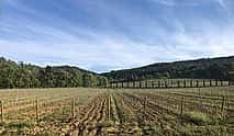 Photo 4 Provence Your Way: A Private 8-hour Journey Through Southern France