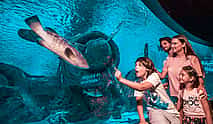 Photo 4 Antalya Aquarium with Entrance & Roundtrip Transfer from Alanya