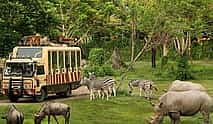 Photo 3 Bangkok: Safari World Tour with Safari Park Ticket