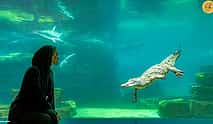 Photo 4 Dubai Crocodile Park Tour with Private Transfers