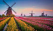 Photo 3 Private transfer: Amsterdam to Kinderdijk, 2h sightseeing stop