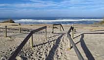 Photo 3 Private day trip: from Porto to Aveiro, Vila Nova de Gaia & back
