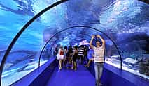 Photo 3 Antalya Aquarium with Entrance & Roundtrip Transfer from Alanya