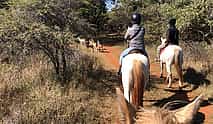 Photo 3 Horseback Safari and Cable Car Tour from Johannesburg