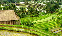 Photo 4 The Exotic of Bali