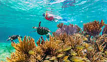 Photo 3 Puerto Morelos Reef Snorkeling Adventure with beachside lunch