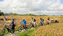 照片 4 E-bike Ubud to Tirta Empul Trip