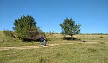 صورة 4 One Day Private Biking Tour in Burzenland - The Little Transylvania