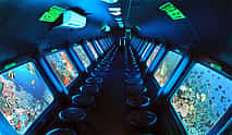 Photo 4 Royal Submarine Adventure – Explore the Red Sea Underwater World