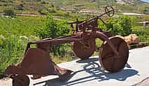 Photo 3 Full-day Limassol, Omodos Village and Winery Tour