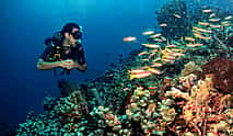 Photo 4 Dive Hurghada Advanced Course
