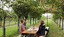 صورة 4 Wine tour & tasting - Prosecco Experience
