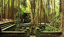 Photo 4 Bali Customizable Private Tour