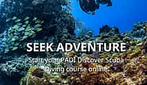Photo 4 Try Dive Program in the Red Sea