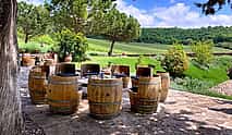 Photo 4 Full Day Chianti Tour Small Group with Local Sommelier