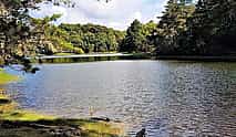 Photo 4 Direct Transfer from Cahuita to San Jose, English Speaking Driver