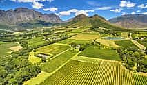 Photo 4 Private Full-day Stellenbosch or Franschhoek or Paarl Wine Tour from Cape Town