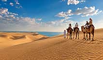 Photo 4 Private Qatar Desert Safari in Doha | Inland Sea, Camel Ride & Dune Bashing