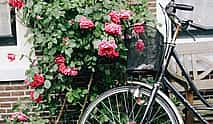 Photo 3 Private Transfer from Berlin to Amsterdam with 2h of Sighseeing