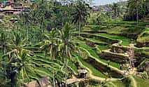 Photo 3 Ubud Temples, Waterfalls, Rice Terraces & Balinese Culture