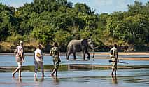 Foto 3 Safari privado a pie por el sur de Laungwa