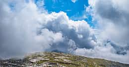 ฟลอเรนซ์