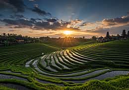 Джокьякарта