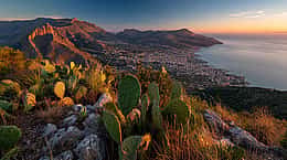 Palerme