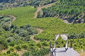 Photo 1 Degustazione di vini della Lisbona settentrionale