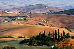 Photo 1 Exclusive Val d'Orcia Tour from Florence - A cinematic universe for wine lovers
