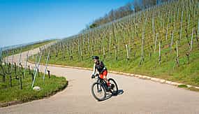 Foto 1 Ruta del vino Amarone en bicicleta eléctrica por Verona