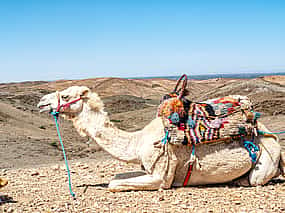 Photo 1 Atlas Mountains and Camel Ride in Agafay Desert Full-day Trip