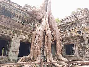 Foto 1 Private One Day Trip-The Best Experience in Siem Reap