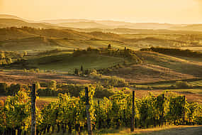 Photo 1 Chianti Rufina Private Half-day Tour from Florence